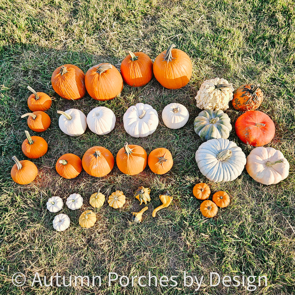 Classic Autumn Package