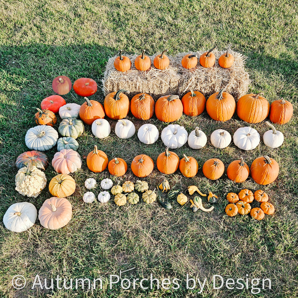 Deluxe Harvest Package