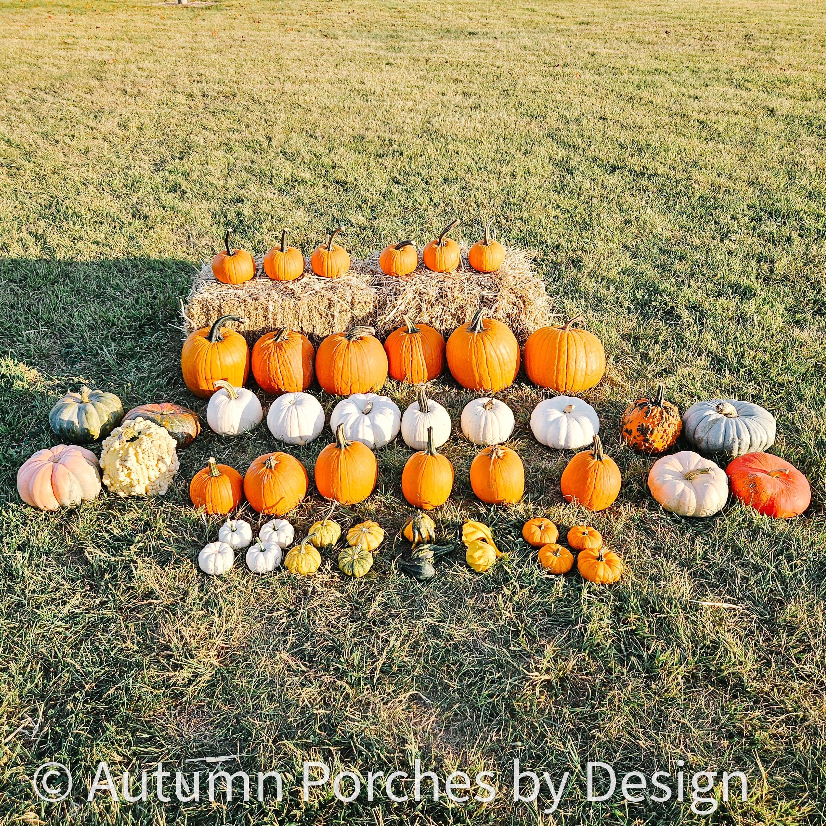 Signature Fall Package