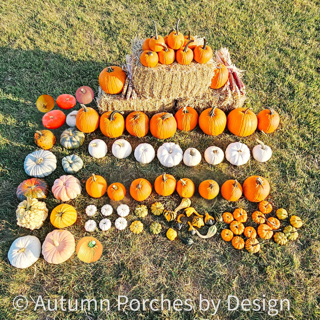 Ultimate Pumpkin Package